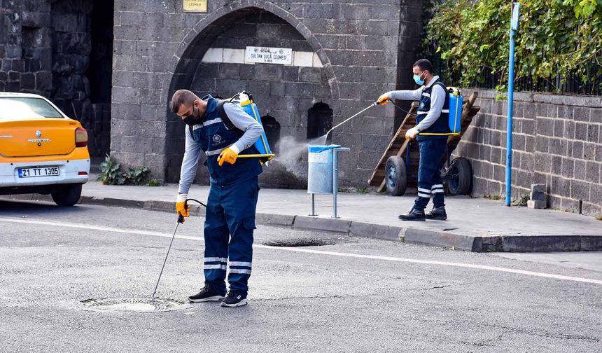 Diyarbakır’da ilaçlama çalışmaları sürüyor