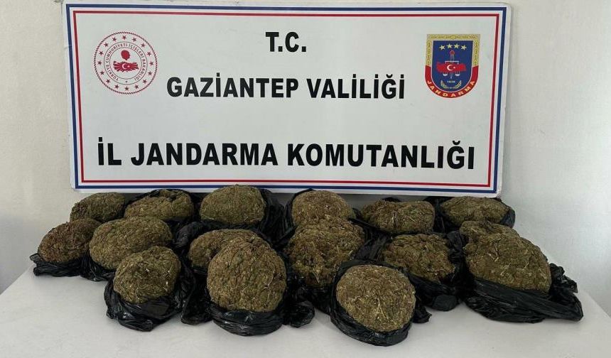 Otobüs bagajında 18 kilo skunk yakalandı