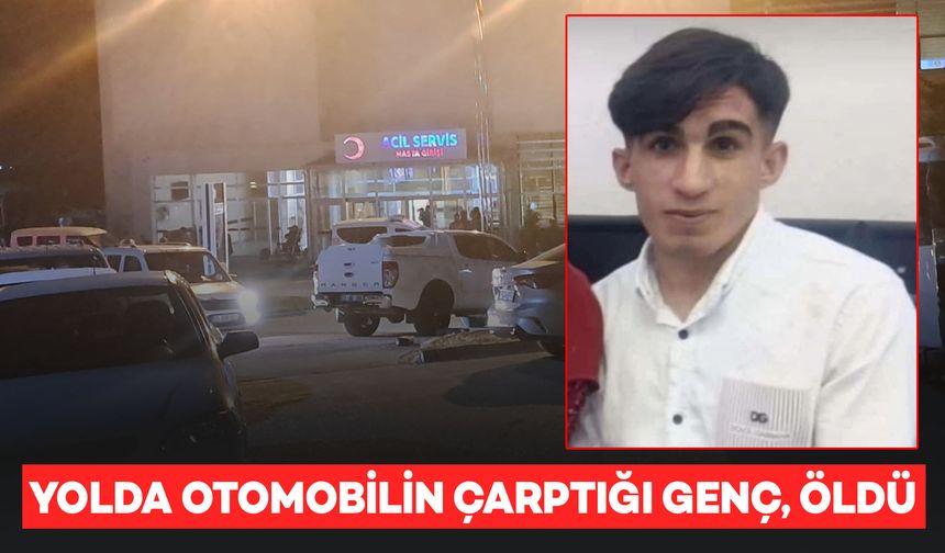 Silvan’da otomobilin çarptığı 23 yaşındaki genç, öldü