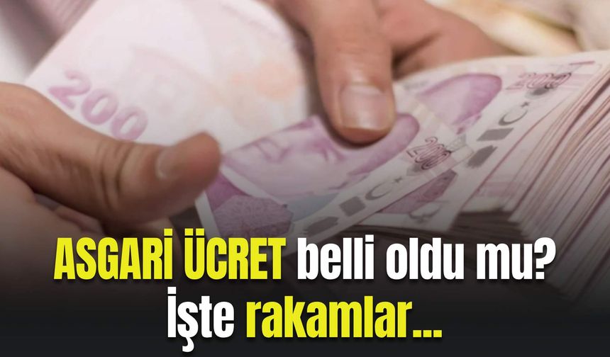 Asgari ücret belli oldu mu? İşte tüm rakamlar...