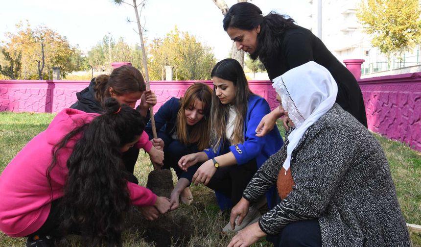 Bismil’de kadınlar Belediye Eş Başkanı Mizgin Ekin’le birlikte fidan diktiler