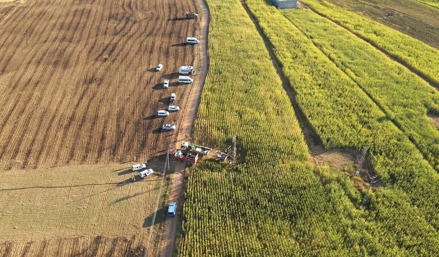 Dicle Elektrik: Hasat bitti, kaçak trafolar bitmedi