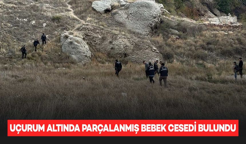 Mezarlık yakınında parçalanmış bebek cesedi bulundu