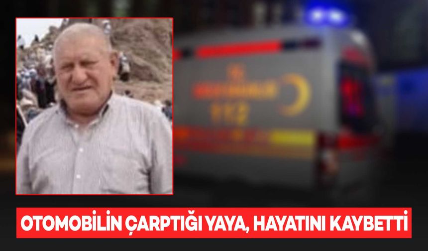 Otomobilin çarptığı 70 yaşındaki adam yaşamını yitirdi