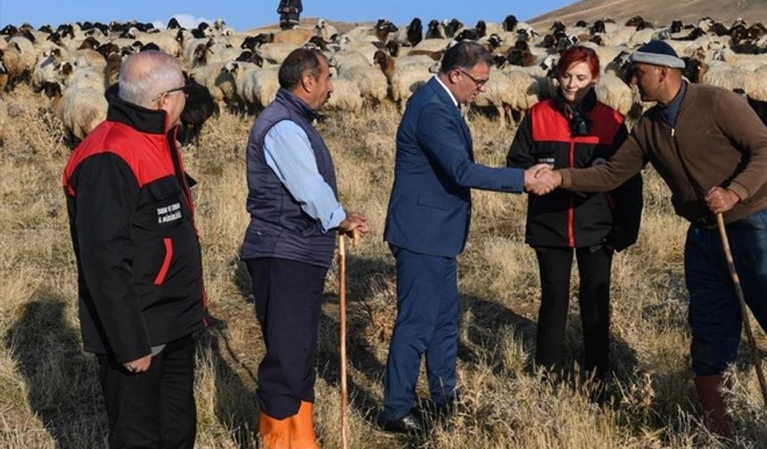 Van'da 2 Bin Çiftçiye 200 Bin Koyun Dağıtıldı