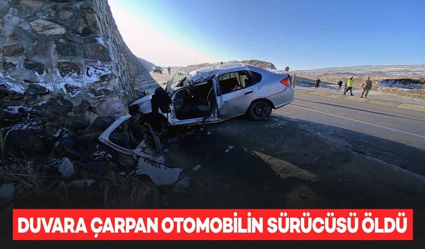 İstinat duvarına çarpan otomobilin sürücüsü hayatını kaybetti