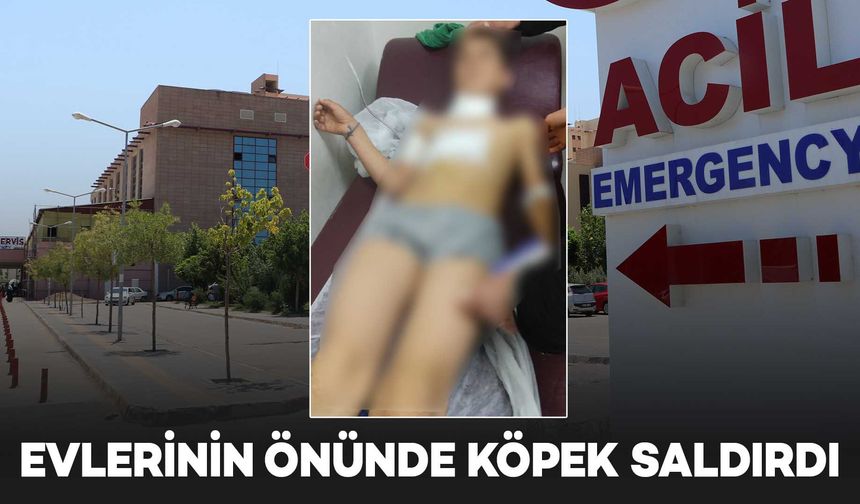 Diyarbakır’da 10 yaşındaki Ahmet, köpek saldırısında yaralandı