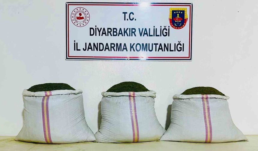 Diyarbakır'da 82 kilogram uyuşturucu ve 18 bin 246 kök kenevir ele geçirildi
