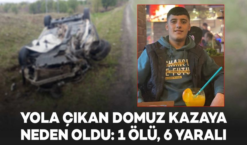 Diyarbakır’da yola çıkan domuz kazaya neden oldu: 1 ölü, 6 yaralı