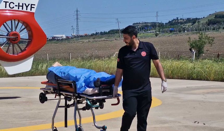 Kulp’ta ağaçtan düşen yaralı, ambulans helikopterle hastaneye nakledildi