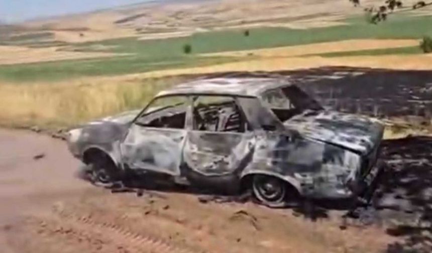 Diyarbakır’da tarla ve otomobil yandı