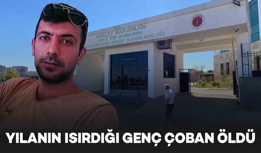 Diyarbakır’da yılan tarafından ısırılan çoban, hayatını kaybetti