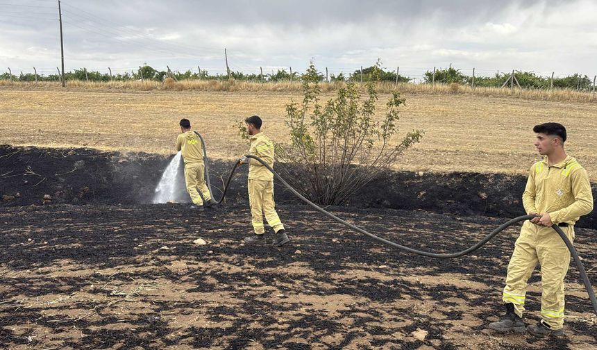 Diyarbakır'ın 3 ilçesinde çıkan yangınlar söndürüldü