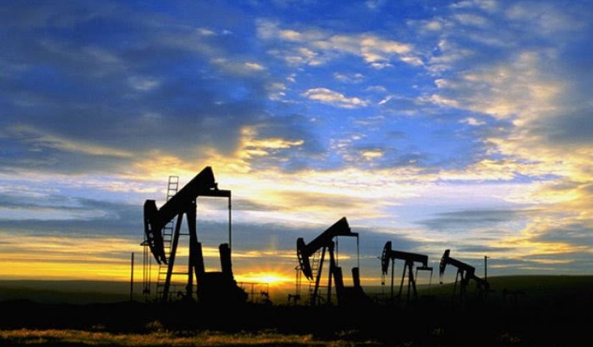 Bismil, çok önemli bir petrol üretim merkezine dönüşebilir