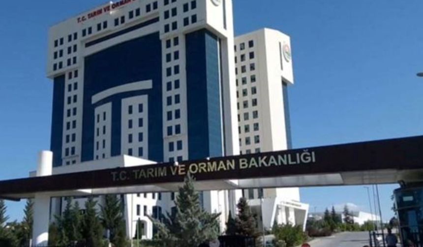 '14 Kişiyle Baskın' İddiasına Bakanlıktan Açıklama