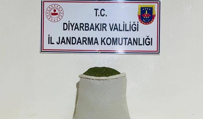 Diyarbakır'da Jandarmadan Narkotik Operasyonları: 55 Kiloya Yakın Esrar Ele Geçirildi