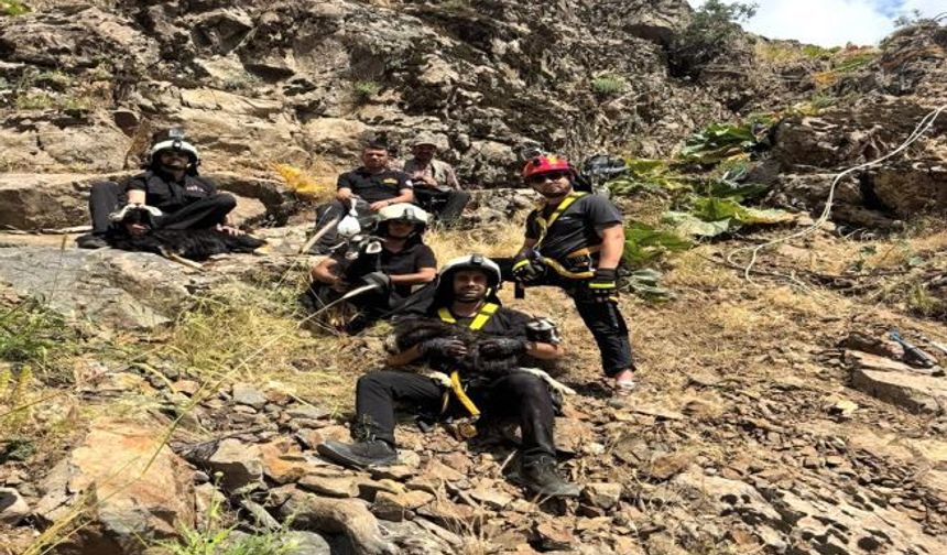 Diyarbakır'da Kayalıklarda Mahsur Kalan Oğlaklar Kurtarıldı