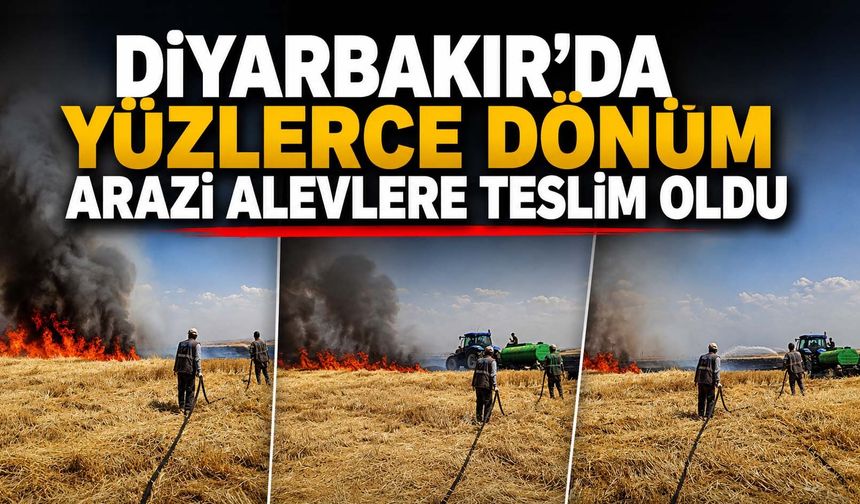 Diyarbakır'da Yüzlerce Dönüm Arazi Alevlere Teslim Oldu