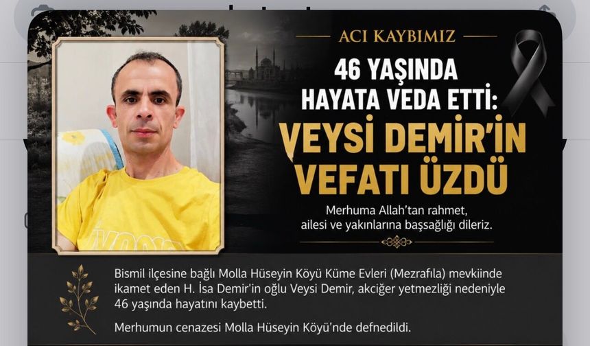 Molla Hüseyin Köyü Yasta: Veysi Demir Hayatını Kaybetti