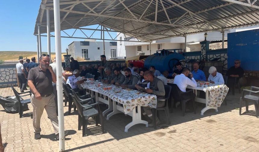 Kızından Aldığı Böbrekle Yeniden Hayata Tutundu, 12 Kurban Kesip Yüzlerce Kişiye Yemek Verdi
