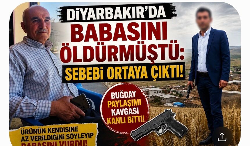 Diyarbakır Çınar’da Babasını Öldürdü: Nedeni Buğday Paylaşımı Çıktı