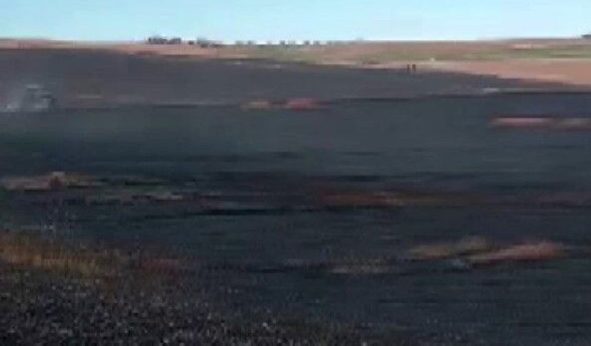 Diyarbakır'daki Yangının Nedeni Şaşırttı: 150 Dönüm Kül Oldu
