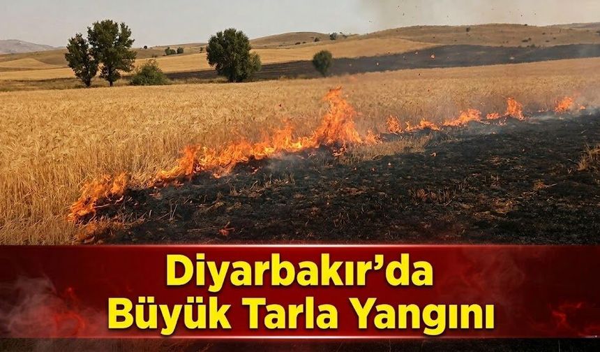 Diyarbakır'da Büyük Tarla Yangını