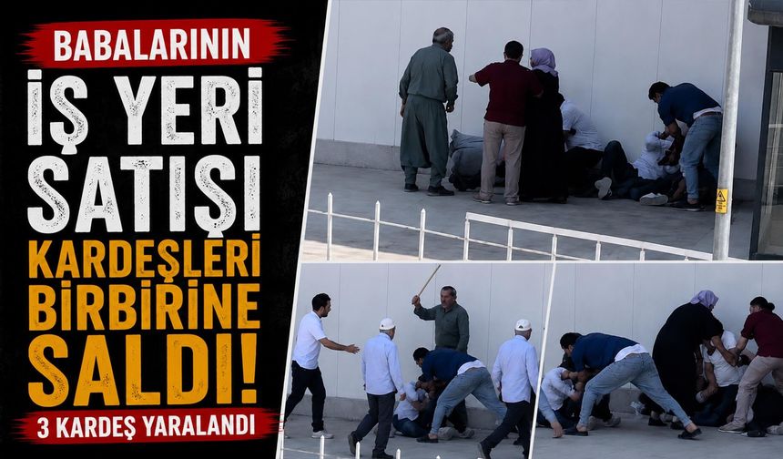 Miras Kavgası Kanlı Bitti: Kardeşler Birbirine Girdi, 3 Yaralı!