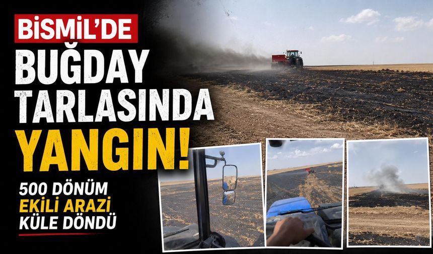 Bismil'de Buğday Tarlasında Yangın! 500 Dönüm Ekili Arazi Küle Döndü