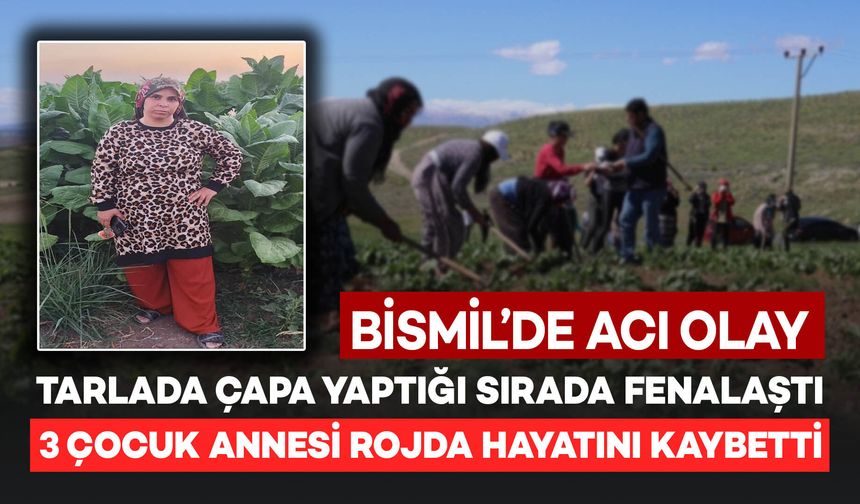 Bismil'de Tarlada Çapa Yaptığı Sırada Fenalaşan 3 Çocuk Annesi Rojda Hayatını Kaybetti