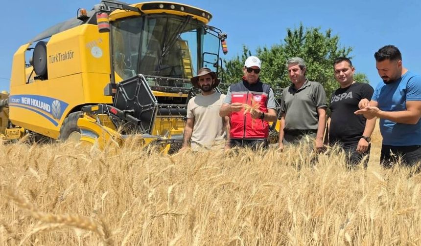 Dicle İlçe Tarım ve Orman Müdürlüğü Çiftçileri Sahada Bilgilendiriyor