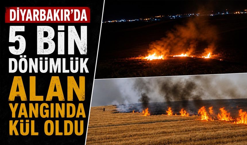 Diyarbakır'da 5 Bin Dönümlük Alan Yangında Kül oldu