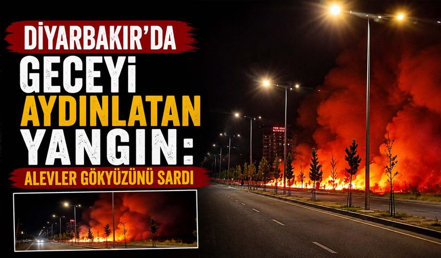 Diyarbakır'da Geceyi Aydınlatan Yangın: Alevler Gökyüzünü Sardı