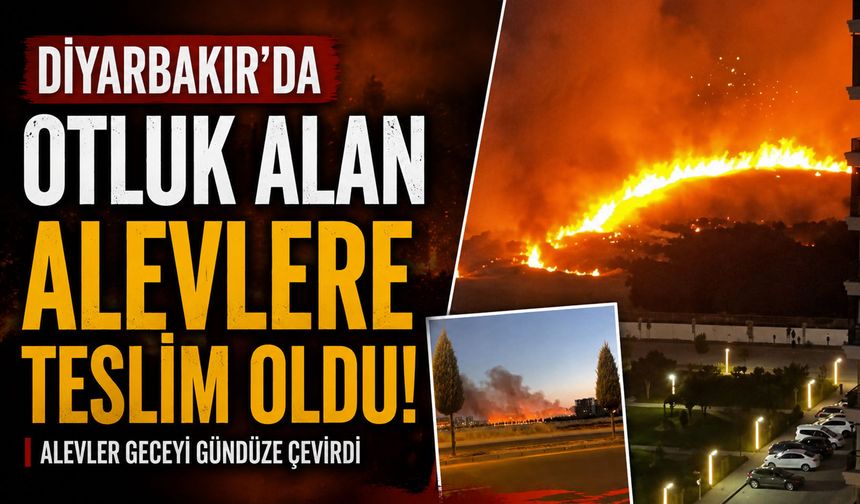 Diyarbakır'da otluk alan alevlere teslim oldu