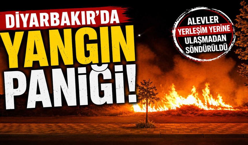 Diyarbakır'da Yangın Paniği! Alevler Yerleşim Yerine Ulaşmadan Söndürüldü