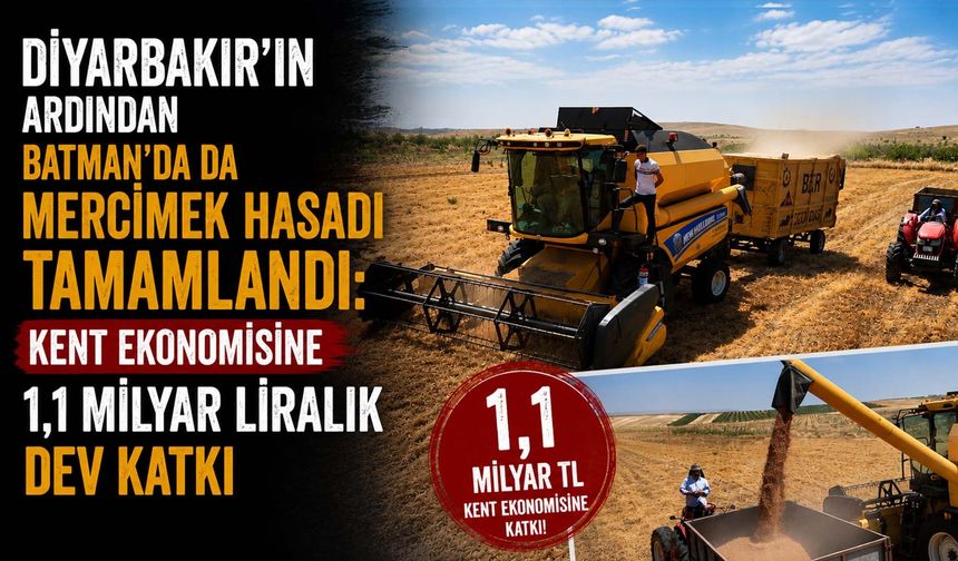 Diyarbakır'ın Ardından Batman'da da Mercimek Hasadı Tamamlandı: Kent Ekonomisine 1,1 Milyar Liralık Dev Katkı