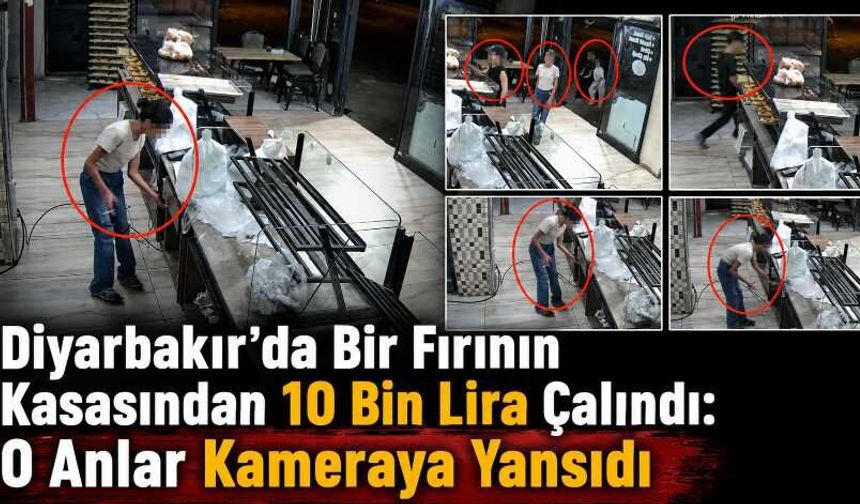 Diyarbakır’da Bir Fırının Kasasından 10 Bin Lira Çalındı: O Anlar Kameraya Yansıdı
