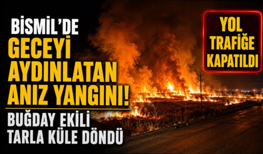 Bismil’de Geceyi Aydınlatan Anız Yangını! Buğday Ekili Tarla Küle Döndü