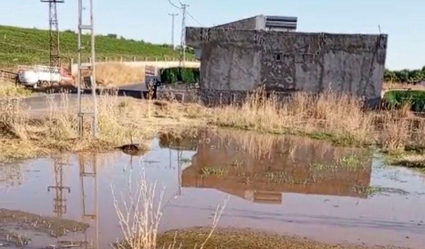Bismil'de Tarla Suları Evlerin avlularını Bastı: Vatandaşlardan Yetkililere Acil Çözüm Çağrısı