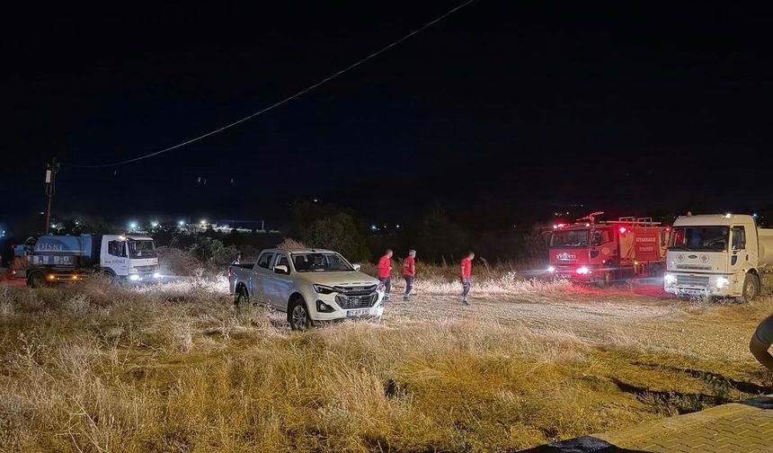 Lice’de korkutan anız ve örtü yangını söndürüldü: Hasar tespiti bugün yapılacak