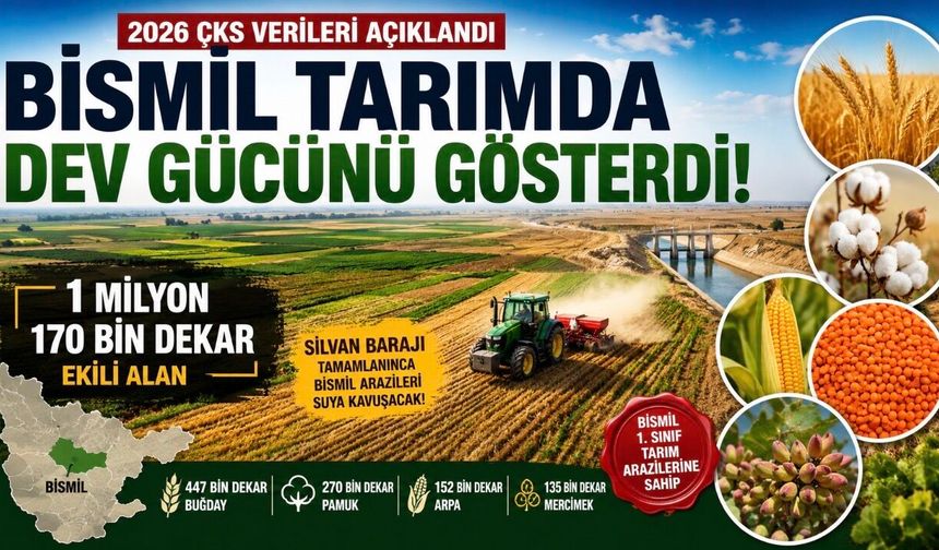 Bismil 2026 Yılı Tarla Ekiliş Raporu: 1 Milyon 170 Bin Dekarı Aşan Üretim Gücü