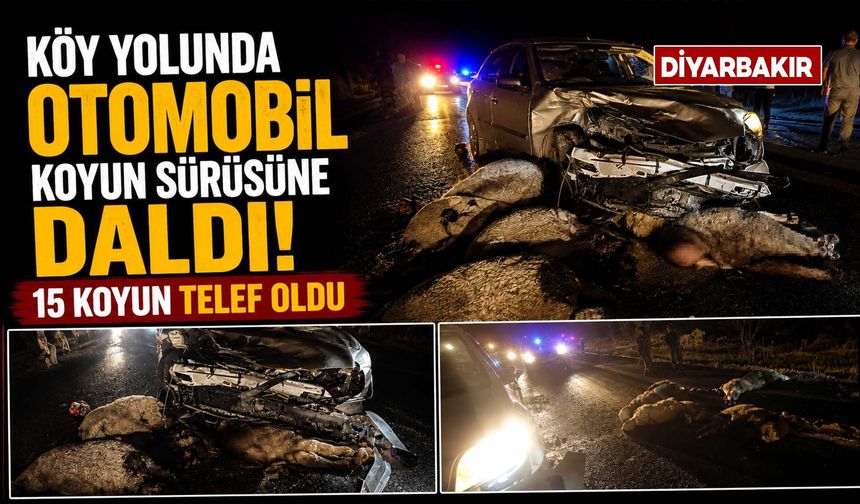 Köy Yolunda Otomobil Koyun Sürüsüne Daldı: 15 Koyun Telef Oldu