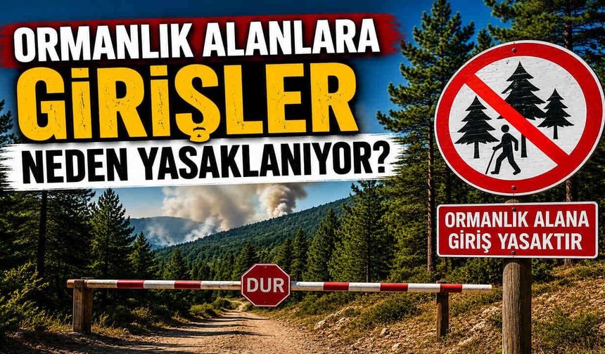 Ormanlık Alanlara Girişler Neden Yasaklanıyor?