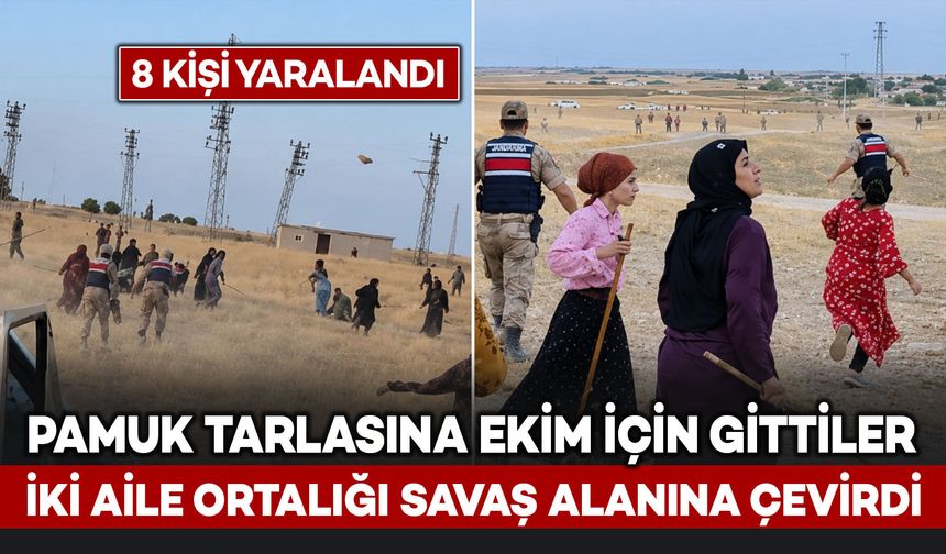 Pamuk Tarlasına Ekim Yapmaya Giden Husumetli İki Aile Arasında Kavga: 8 Kişi Yaralandı