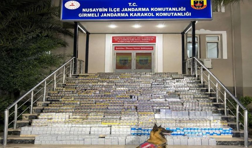 18 Bin 900 Paket Kaçak Sigarayla Yakalandı: 1 Gözaltı