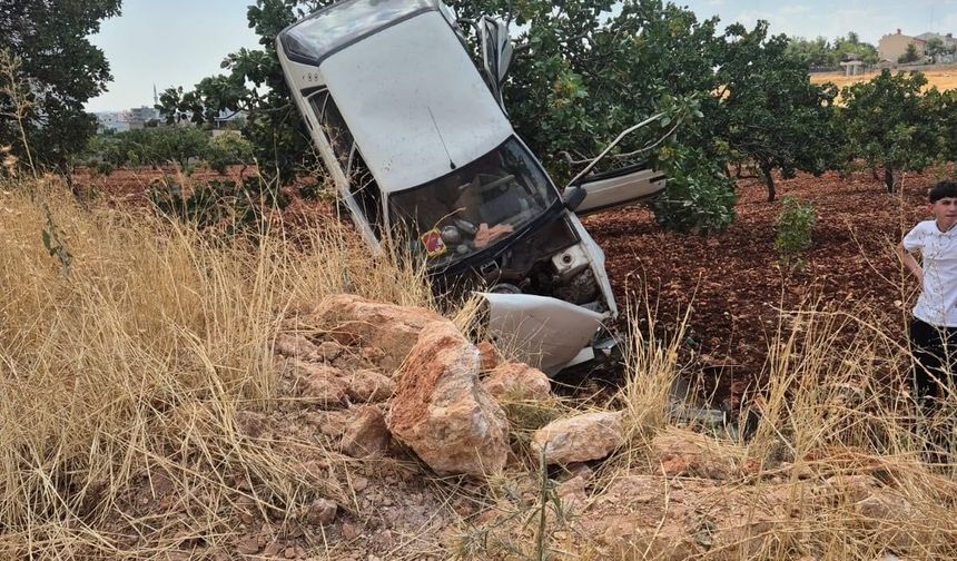 Şanlıurfa’da otomobil tarlaya savruldu: 2 yaralı