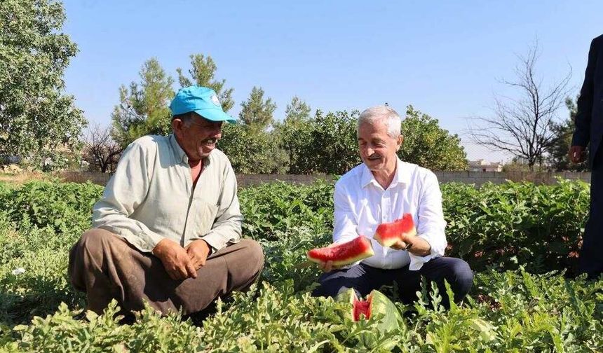 Belediye Başkanı Tarlaya Girdi: Milyonlarca Fidenin Hasadı Başladı