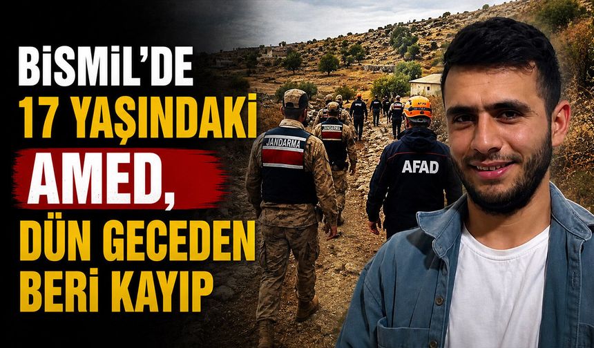 Bismil, Savur'da 17 yaşındaki Amed Eroğlu, dün geceden beri kayıp