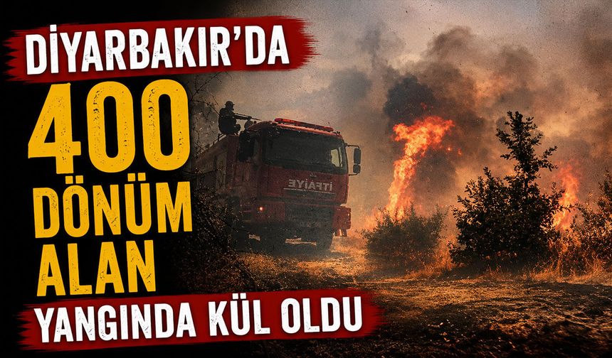 Diyarbakır’da 400 Dönüm Alan Yangında Kül Oldu