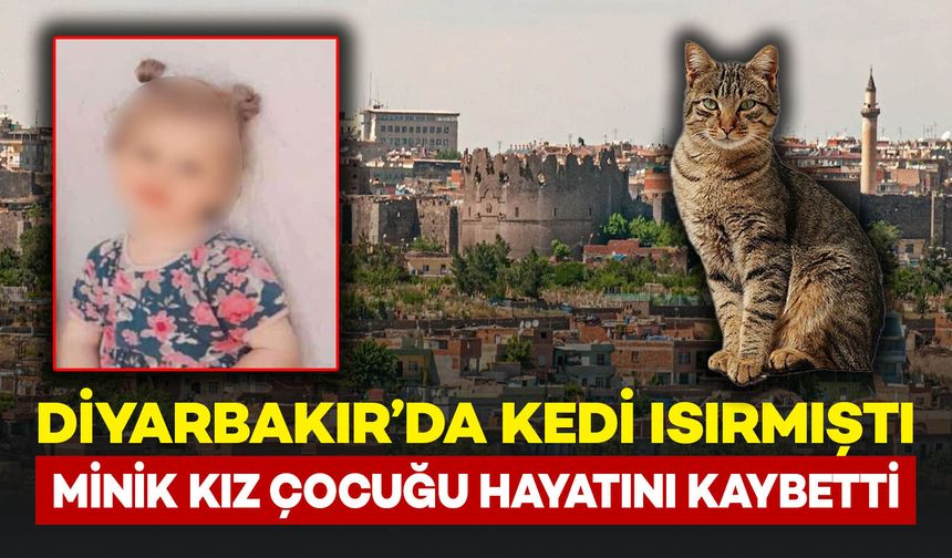Diyarbakır'da kedi ısırmasıyla kuduz olan kız çocuğu hayatını kaybetti